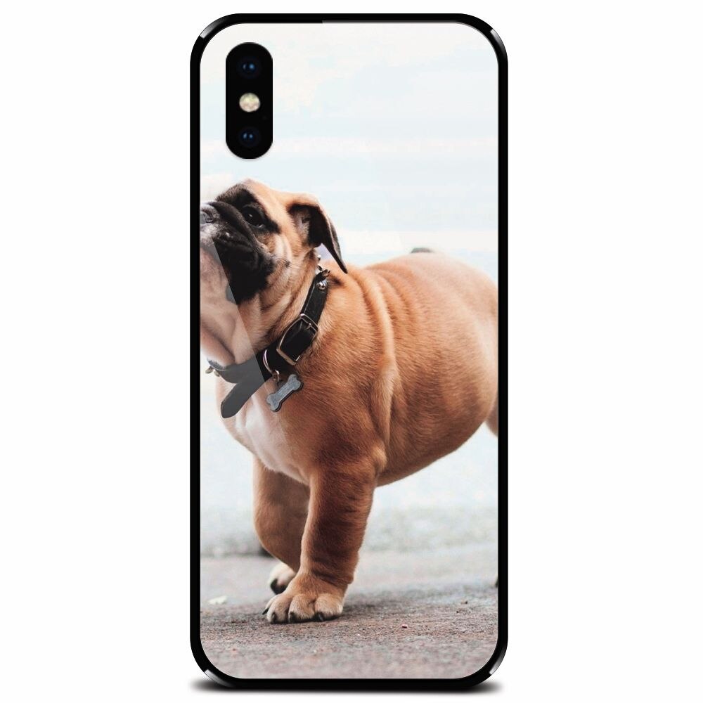 Husa din sticla securizata pentru Apple iPhone X, Little Dog Puppy Animal