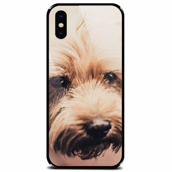 Husa din sticla securizata pentru Apple iPhone XS, Love Pup Husa din sticla securizata pentru Apple iPhone XS, Love Pup