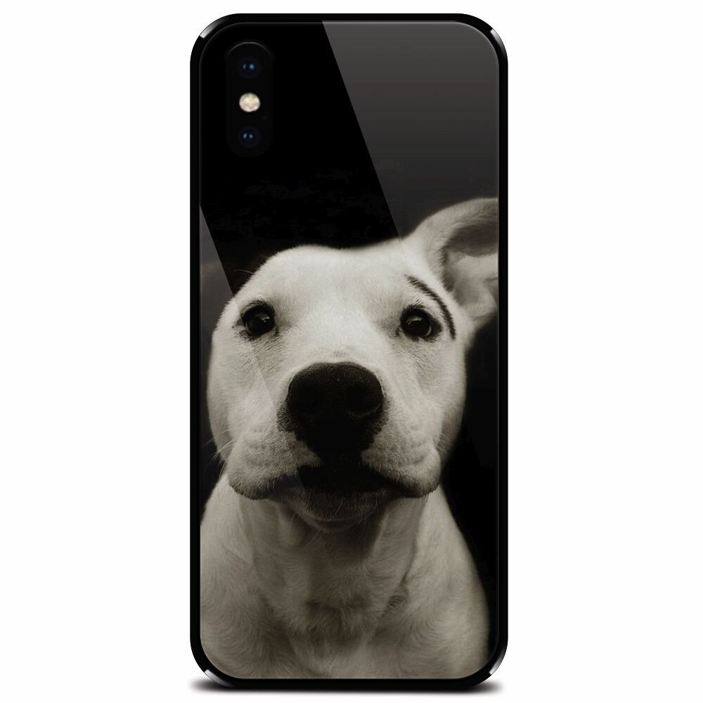 Husa din sticla securizata pentru Apple iPhone XS, Funny Dog