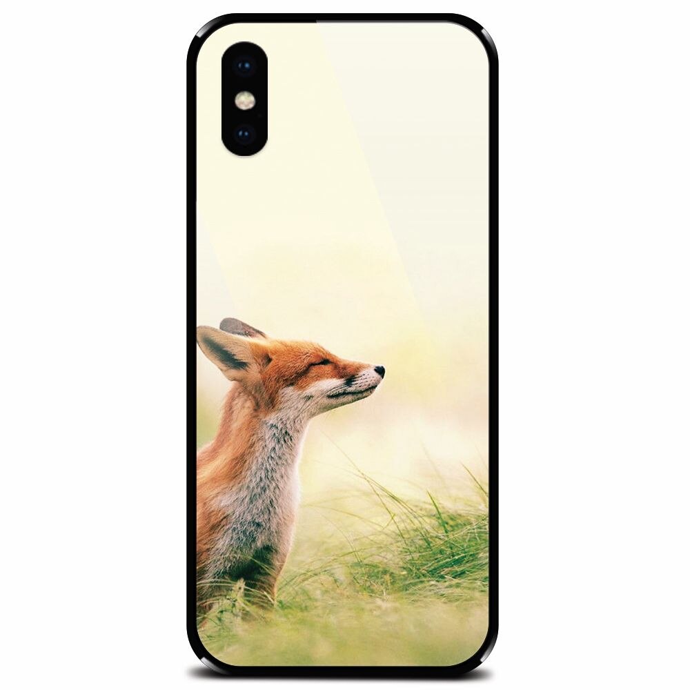 Husa din sticla securizata pentru Apple iPhone X, Fox Scenting Breeze