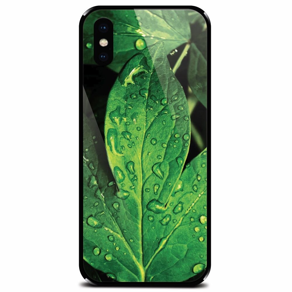 Husa din sticla securizata pentru Apple iPhone XS, Leaves And Dew