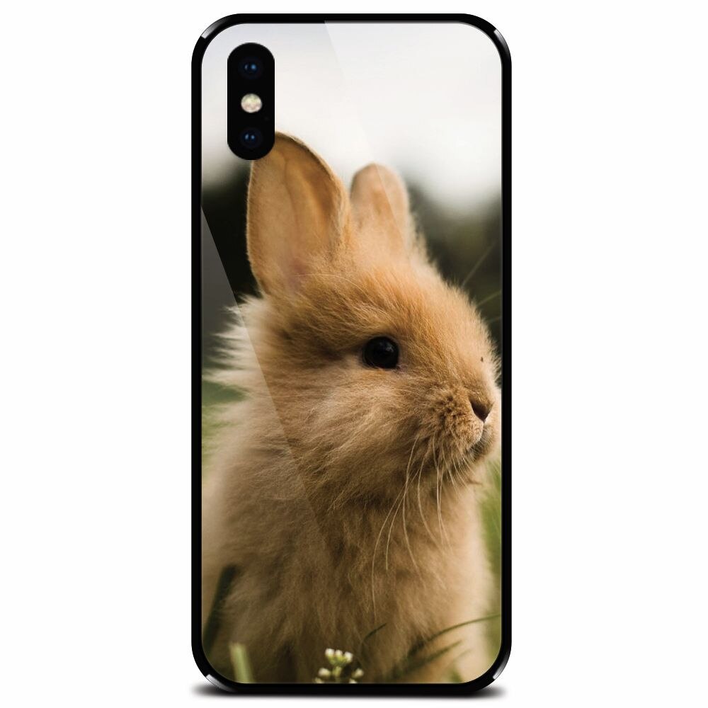 Husa din sticla securizata pentru Apple iPhone X, Cute Rabbit In Grass