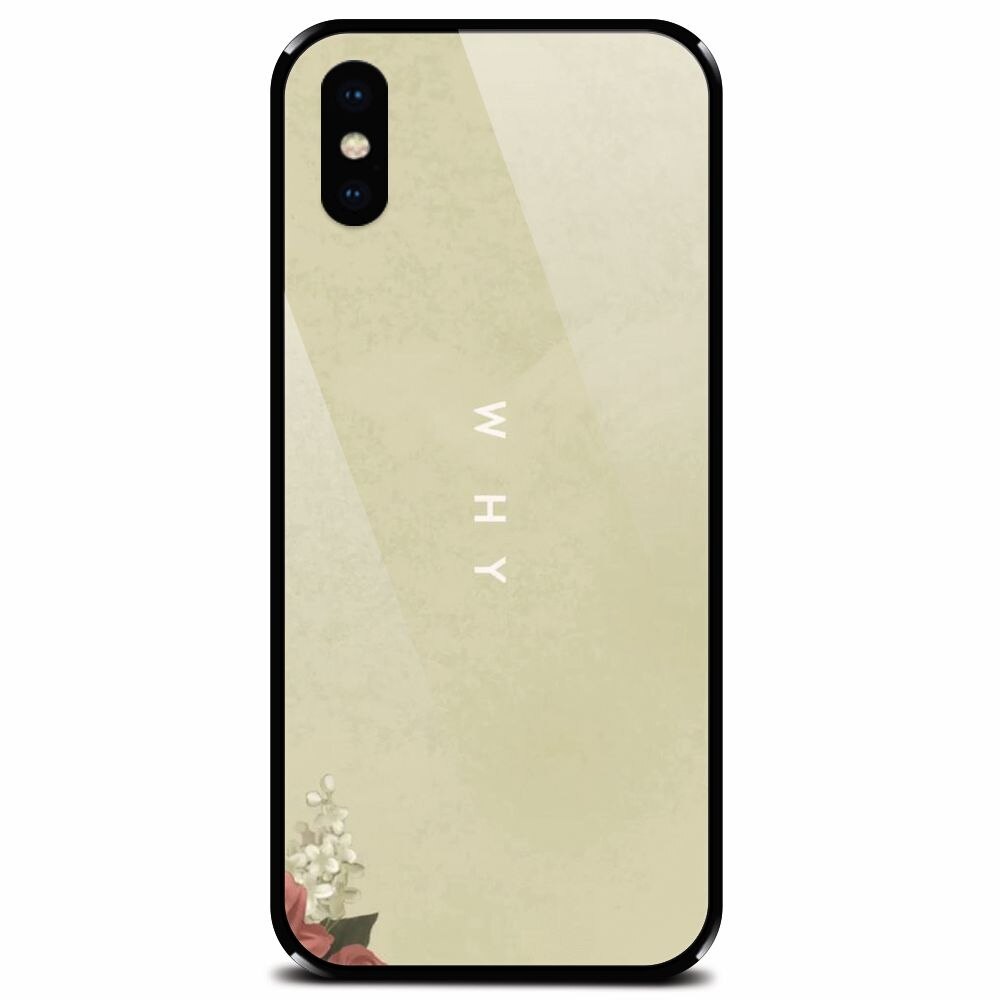 Husa din sticla securizata pentru Apple iPhone X, Why