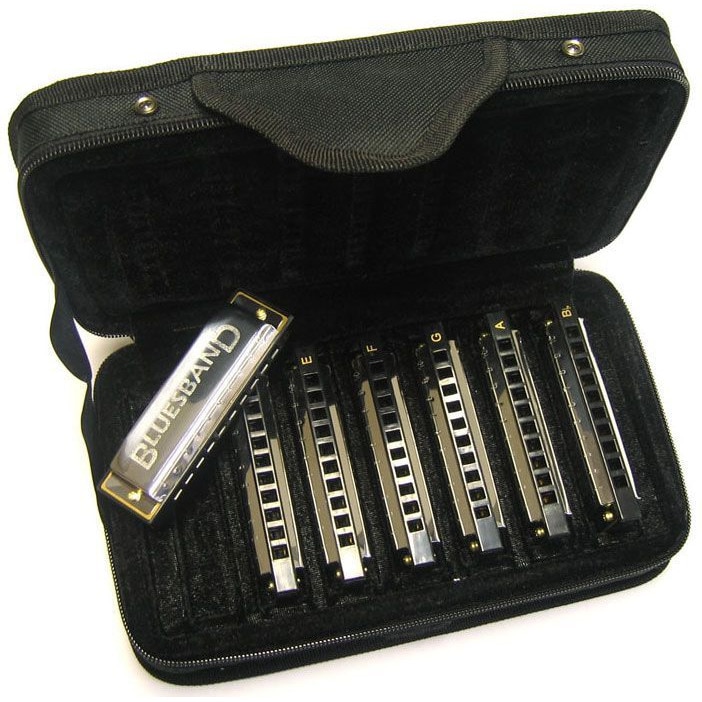 Set de 7 Muzicute Hohner Bluesband