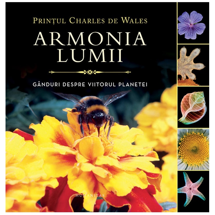Armonia lumii. Ganduri despre viitorul planetei - Printul Wales