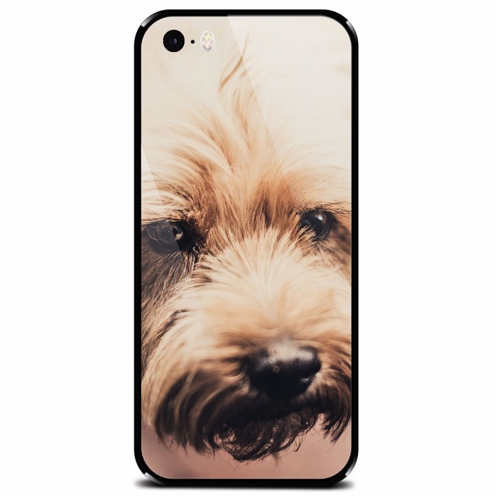 Edzett üvegtok Apple iPhone 5, Love Pup telefonhoz