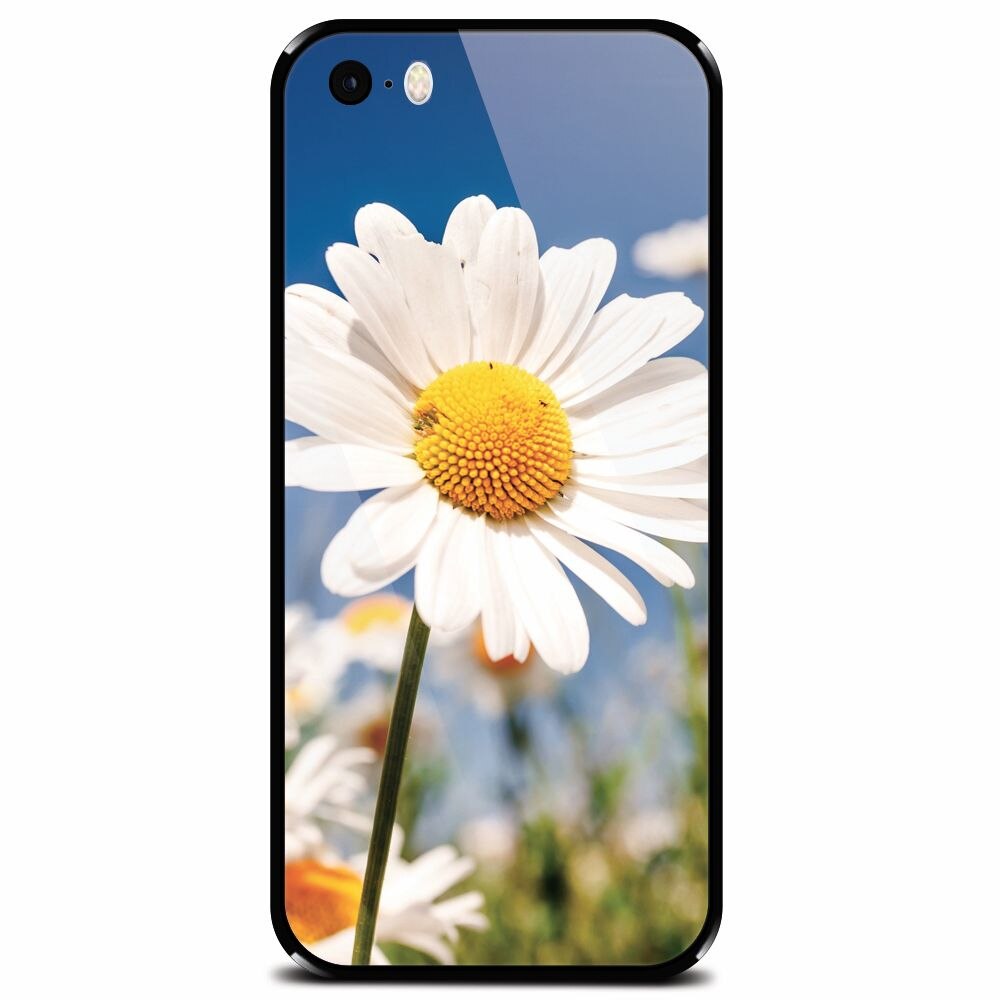 Husa din sticla securizata pentru Apple iPhone 5, Daisies Field Flowers