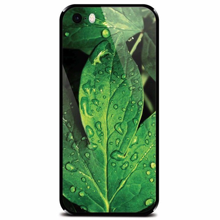 Edzett üvegtok Apple iPhone 5, Leaves And Dew telefonhoz