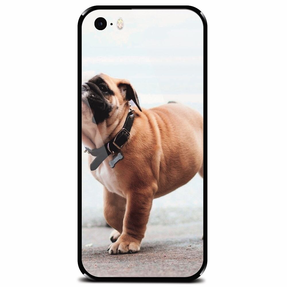 Husa din sticla securizata pentru Apple iPhone 5, Little Dog Puppy Animal