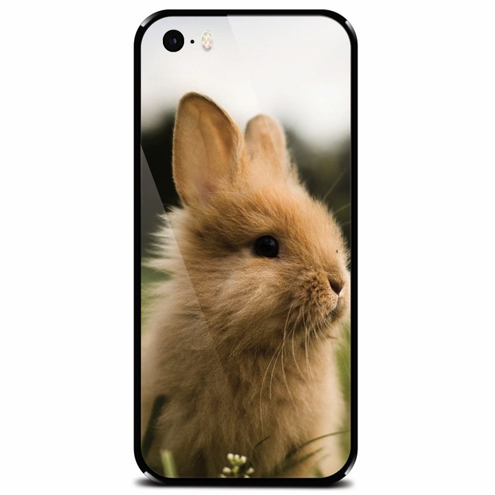 Edzett üvegtok Apple iPhone 5-höz, Cute Rabbit In Grass