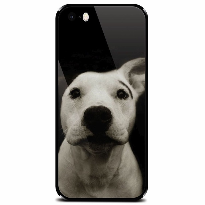 Edzett üvegtok Apple iPhone 5, Funny Dog telefonhoz