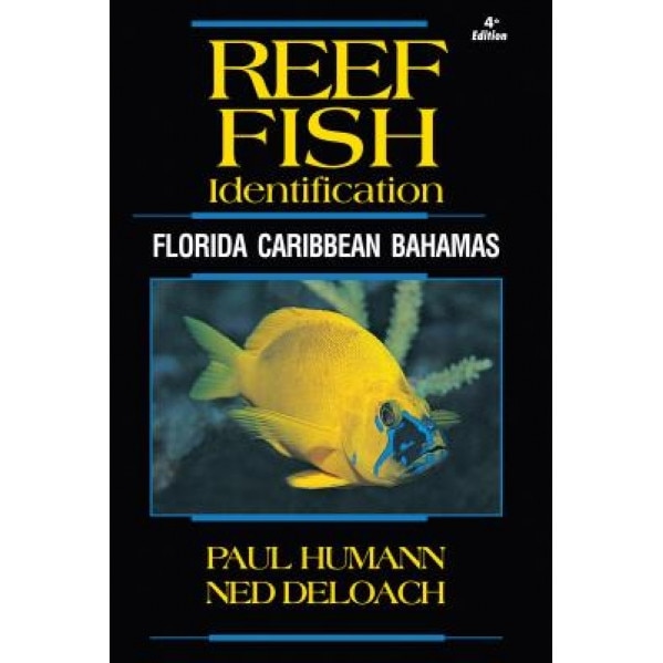 Reef Fish Identification: Florida Caribbean Bahamas, Paul Humann (Author)