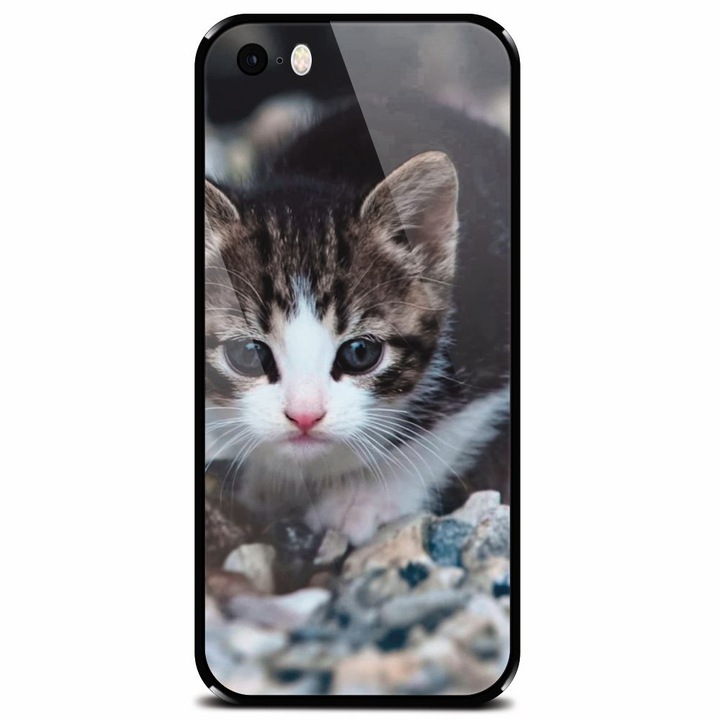 Edzett üvegtok Apple iPhone 5, Animal Cat telefonhoz