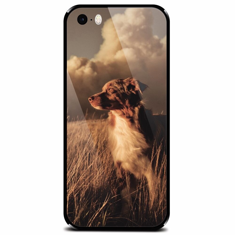 Husa din sticla securizata pentru Apple iPhone 5, Alone Dog Animal In Grass