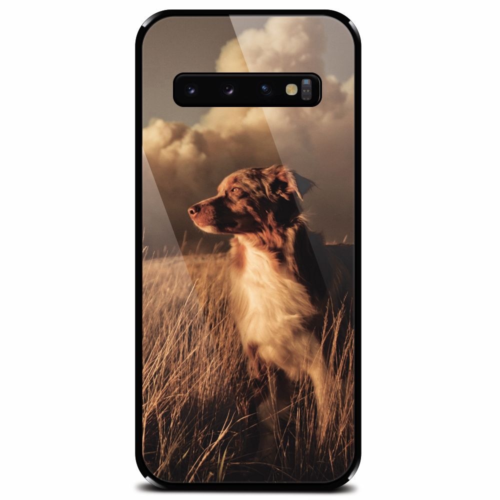 Husa din sticla securizata pentru Samsung Galaxy S10 Plus, Alone Dog Animal In Grass