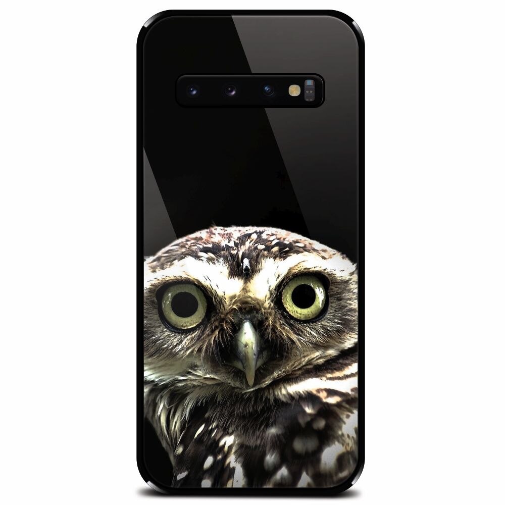 Husa din sticla securizata pentru Samsung Galaxy S10, Owl In The Dark