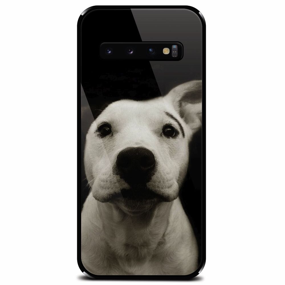 Husa din sticla securizata pentru Samsung Galaxy S10 Plus, Funny Dog