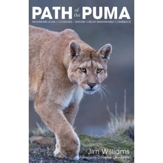 The Path of the Puma: Mountain Lions / Cougars -- Nature's Most Remarkable Comeback, Jim Williams (Author)
