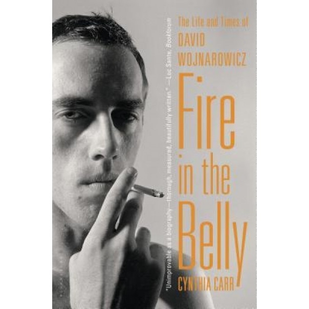 Fire in the Belly: The Life and Times of David Wojnarowicz, Cynthia Carr (Author)
