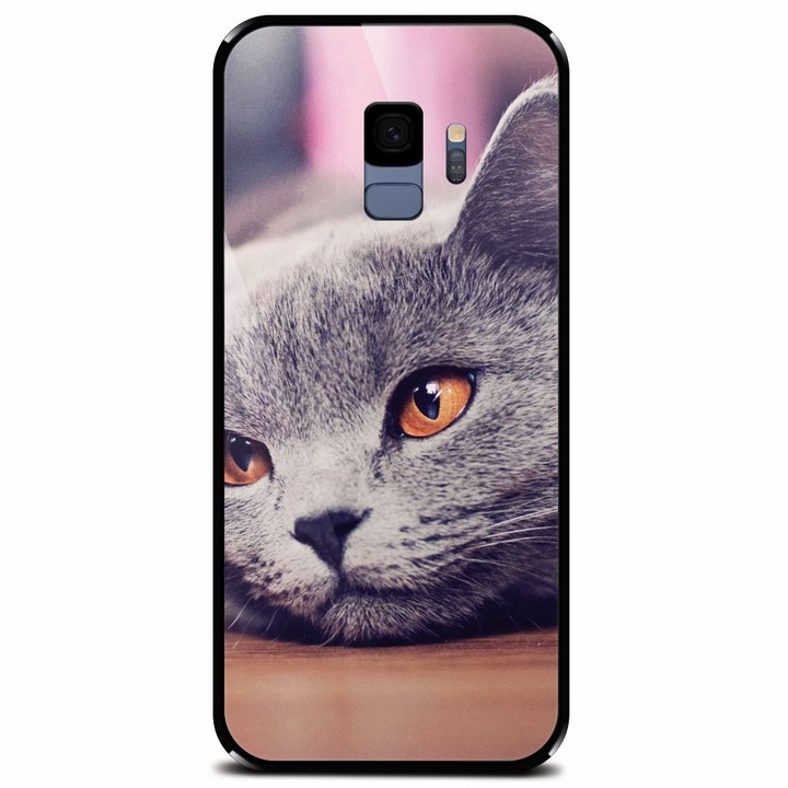 Edzett üvegtok Samsung Galaxy S9, brit rövidszőrű macska sárga szemű portréhoz