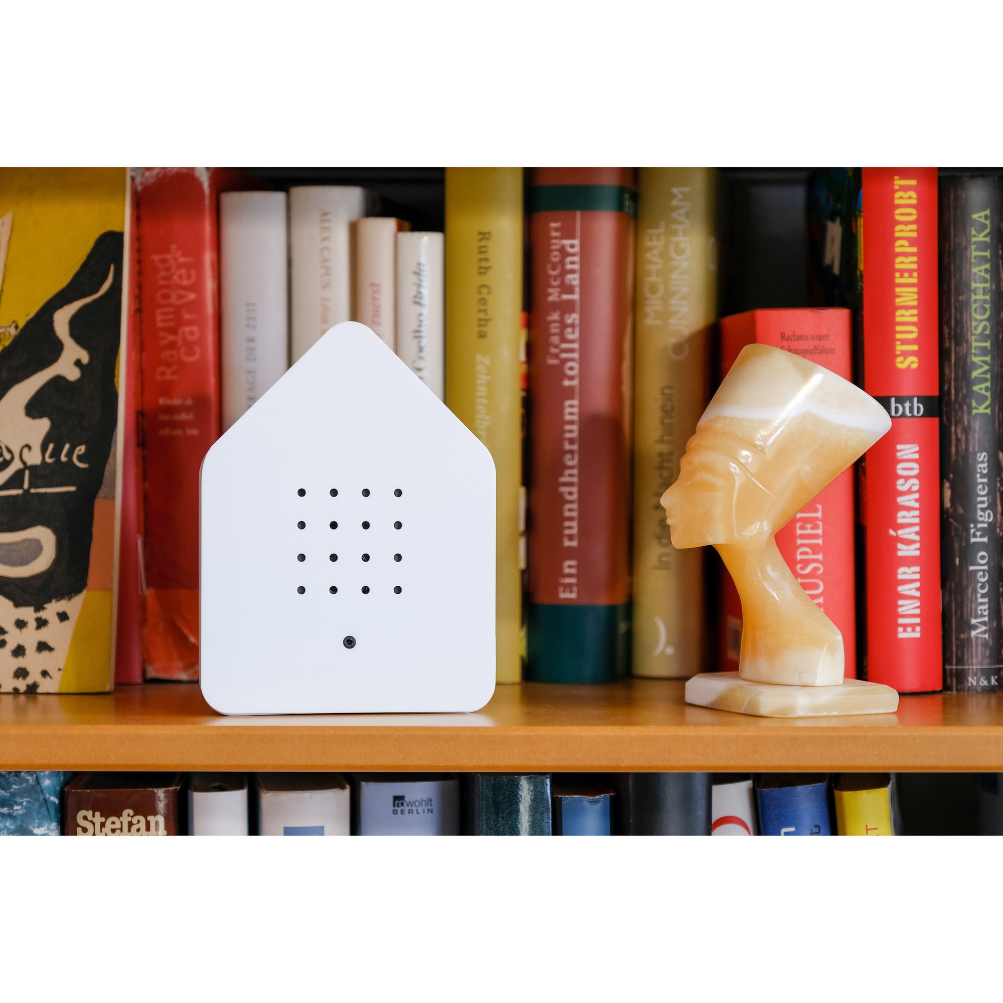 Audio box sunete ambientale, ciripit de pasari, senzor miscare