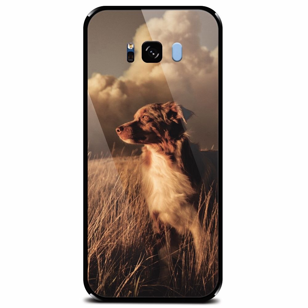 Husa din sticla securizata pentru Samsung Galaxy S8 Plus, Alone Dog Animal In Grass
