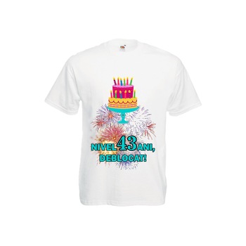 Tricou barbatesc personalizat aniversar Nivel 43 ani, deblocat, S Tricou barbatesc personalizat aniversar Nivel 43 ani, deblocat, S