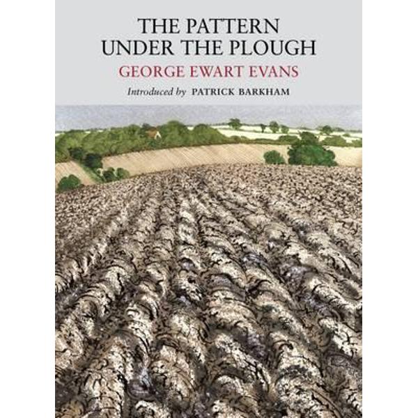 Pattern Under the Plough