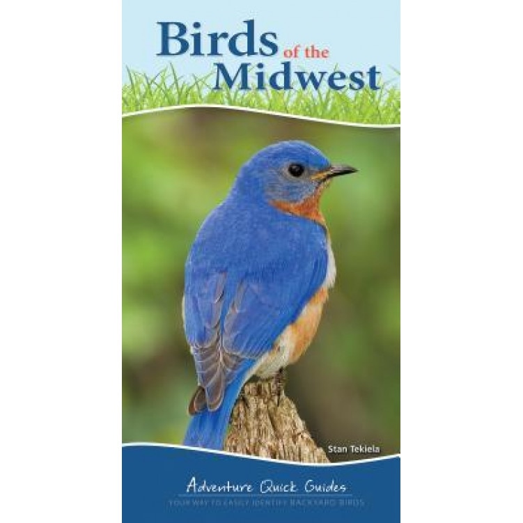 Birds of the Midwest, Stan Tekiela (Author)