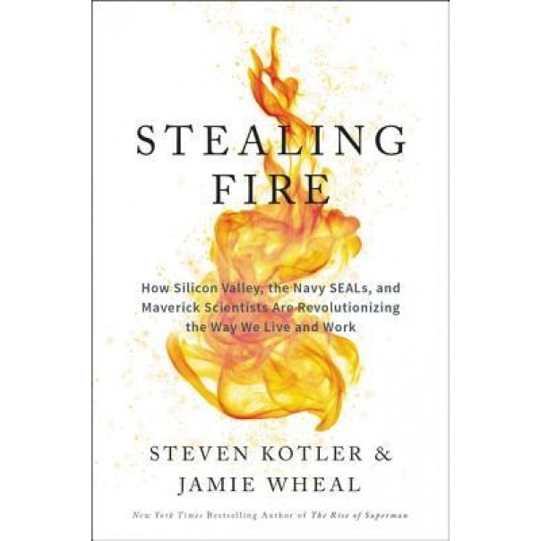 Stealing Fire: How Silicon Valley, the Navy SEALs, and Maverick Scientists Are Revolutionizing the Way We Live and Work, Steven Kotler (Author)