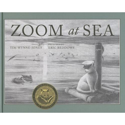 Zoom at Sea, Tim Wynne-Jones (Author)