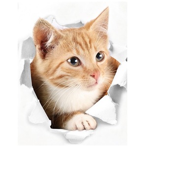 Fototapet 3D pisica Ginger, dimensiune 39x32 cm, 1 bucata Fototapet 3D pisica Ginger, dimensiune 39x32 cm, 1 bucata