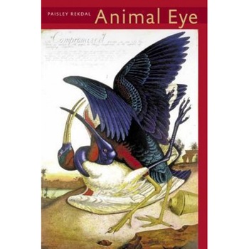 Animal Eye, Paisley Rekdal (Author) Animal Eye, Paisley Rekdal (Author)