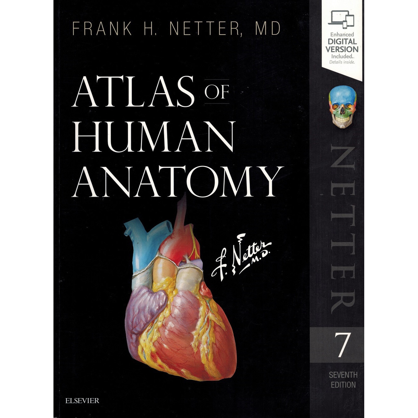 Франк Неттер иллюстрации. Фрэнк Неттер коленный сустав. Atlas surgeri Netter's.