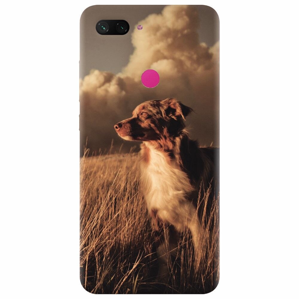 Husa silicon pentru Xiaomi Mi 8 Lite, Alone Dog Animal In Grass