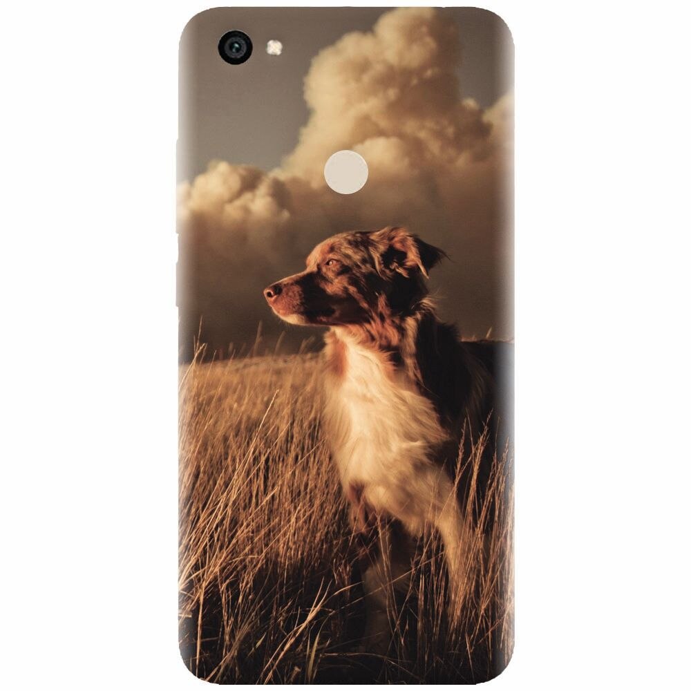 Husa silicon pentru Xiaomi Redmi Note 5A, Alone Dog Animal In Grass