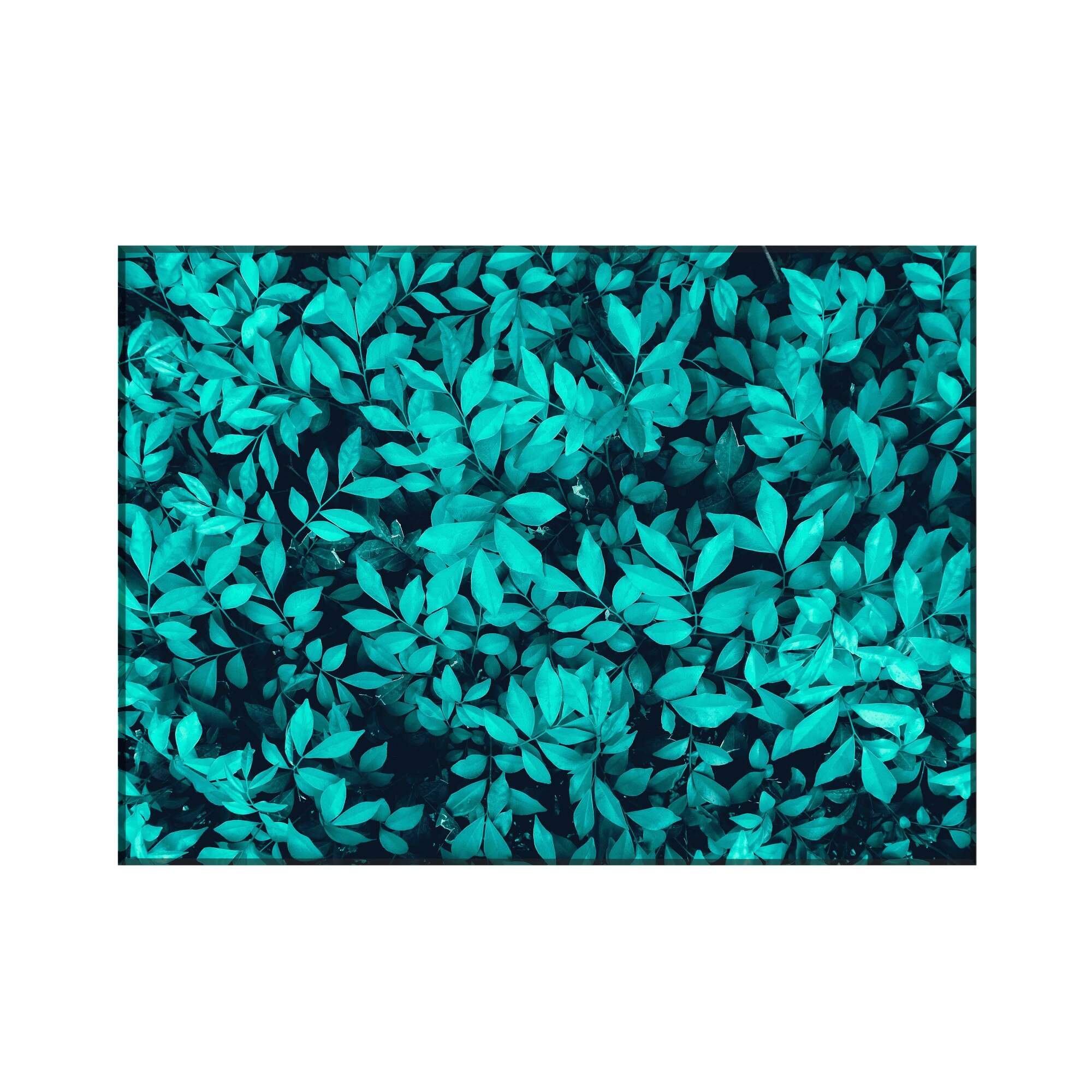 Sticla bucatarie securizata Saint Gobain Glass®, imprimata 90x65cm, protectie antistropire pentru aragaz, Ambra Deco, frunze