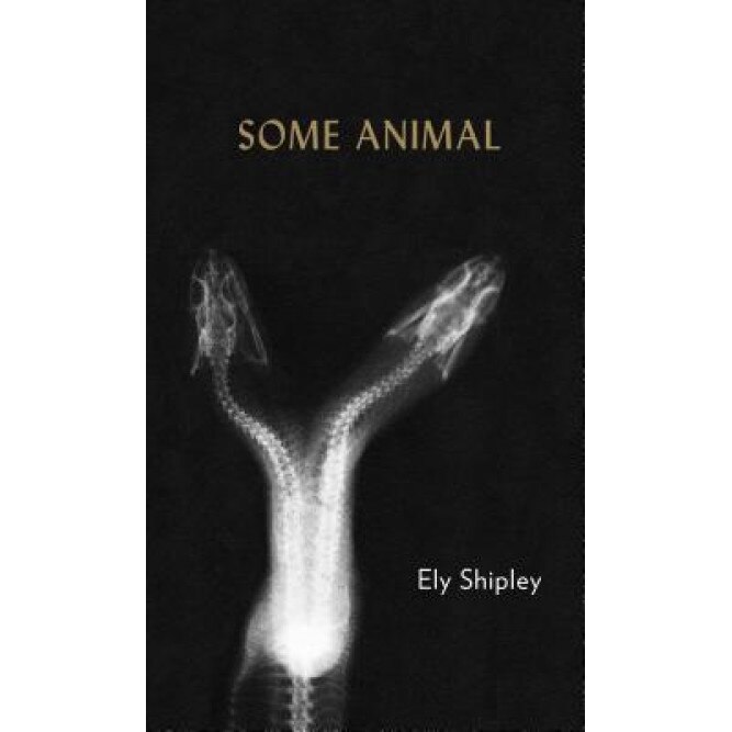 Some Animal, Ely Shipley (Author)