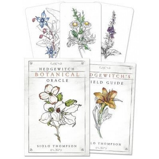 Hedgewitch Botanical Oracle, Siolo Thompson (Author)