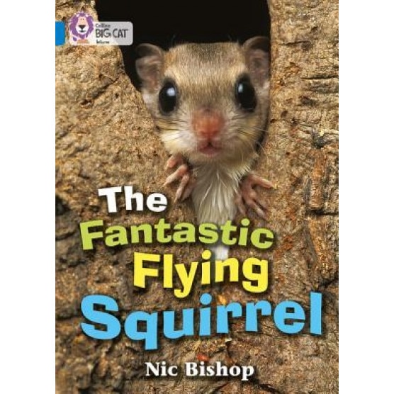 The Fantastic Flying Squirrel, Nic Bishop (Author)