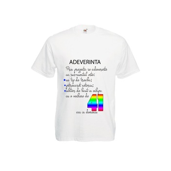 Tricou Fruit of the loom aniversar barbatesc imprimeu Adeverinta 41 ani alb, 2XL Tricou Fruit of the loom aniversar barbatesc imprimeu Adeverinta 41 ani alb, 2XL