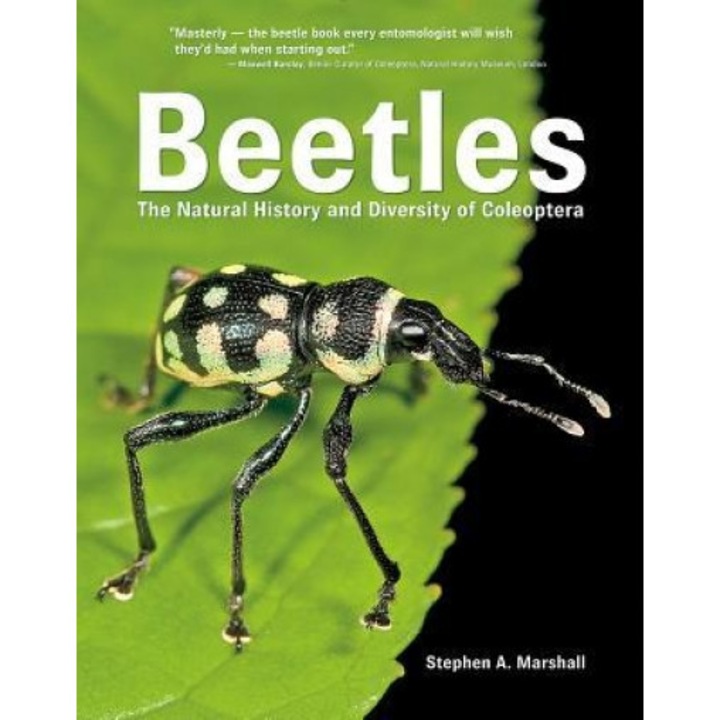 Beetles: The Natural History and Diversity of Coleoptera, Stephen Marshall (Author)