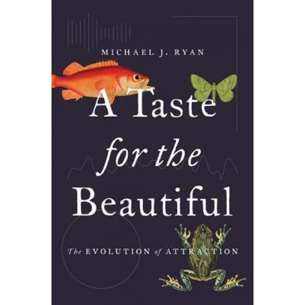 A Taste for the Beautiful: The Evolution of Attraction, Michael J. Ryan (Author)