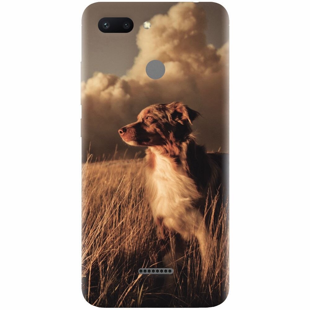 Husa silicon pentru Xiaomi Redmi 6, Alone Dog Animal In Grass