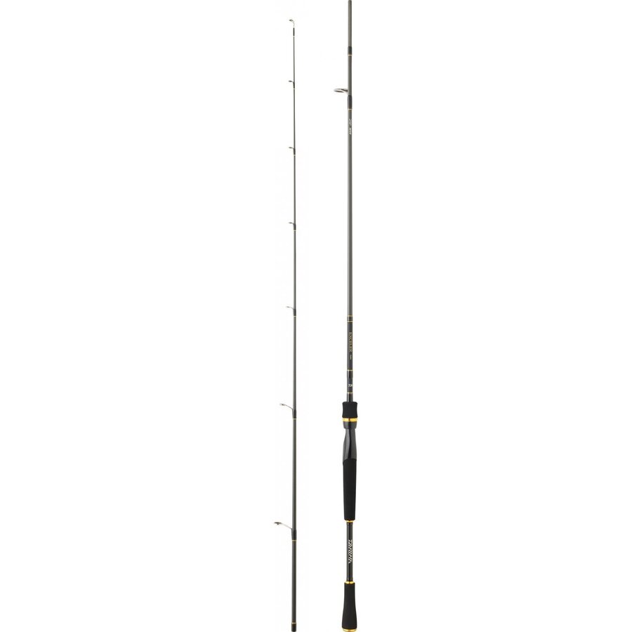 Lanseta Daiwa Exceler 602Mfs 1.83M 5-21G