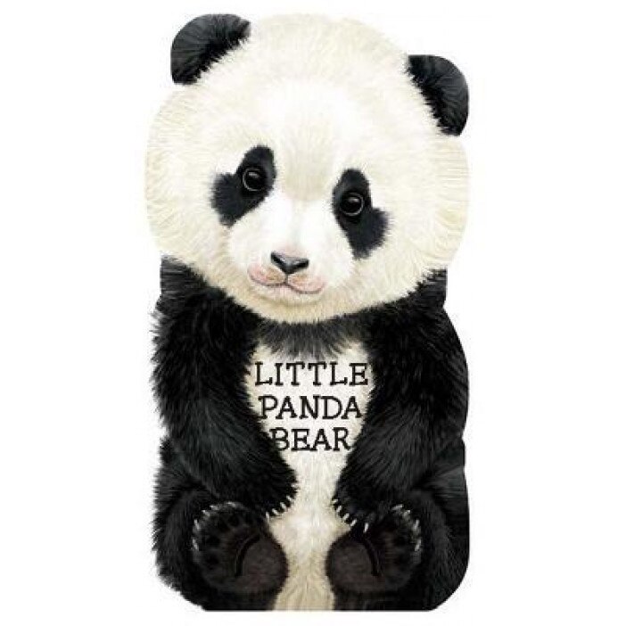 Little Panda Bear, L. Rigo (Illustrator)