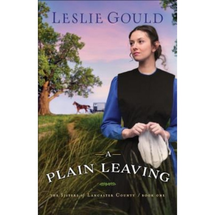 A Plain Leaving, Leslie Gould (Author)