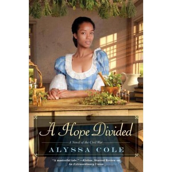 A Hope Divided, Alyssa Cole (Author)
