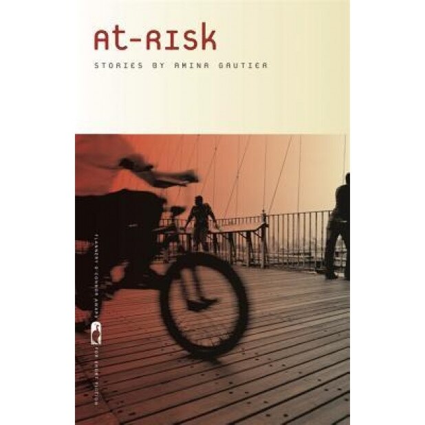 At-Risk, Amina Gautier (Author)