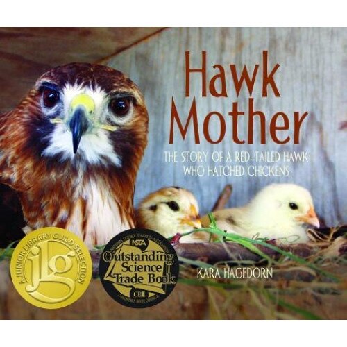 Hawk Mother: The Story of a Red-Tailed Hawk Who Hatched Chickens,